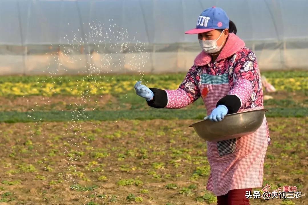 抓防疫保春耕两不误,促融合防疫春耕两不误