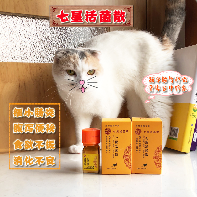 幼猫呕吐是什么原因,幼猫为什么喝羊奶出现呕吐