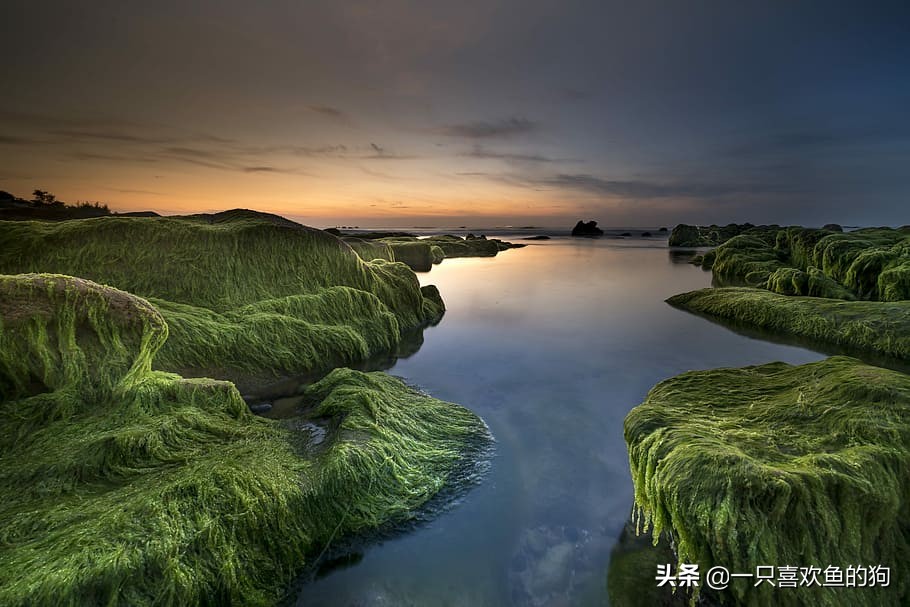 当你感到很脆弱很孤独的时候,你是有多讨厌以前的自己