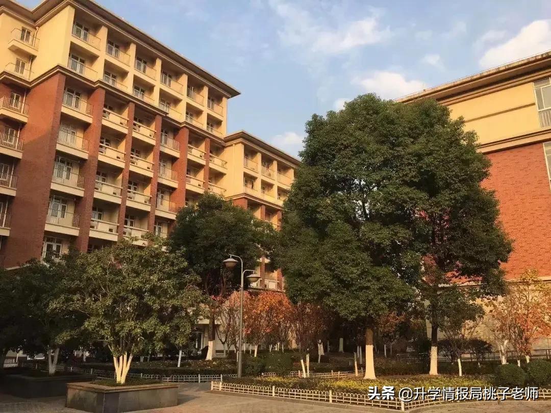 经开区教育,经开区教育规划