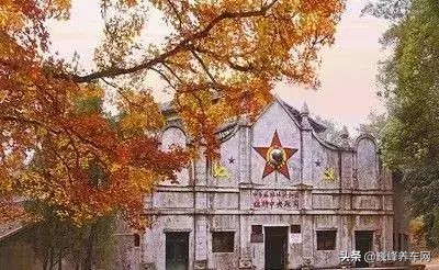 江西自驾游最佳线路推荐攻略,江西自驾旅游攻略最佳路线图