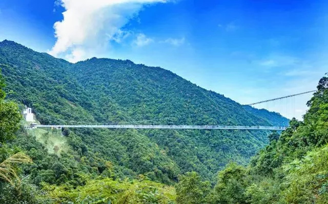 深圳五指耙公园玻璃桥,超级刺激玻璃桥第一视角