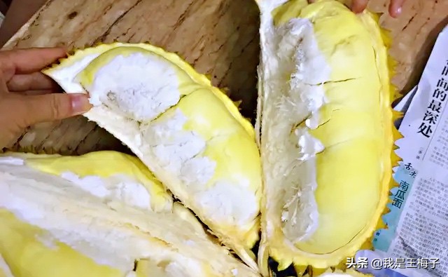 买榴莲时教你4招,买榴莲技巧口诀