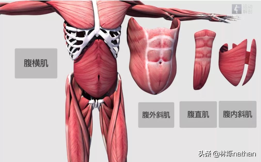 坐月子后觉得肌肉松弛,产后肌肉变松如何恢复
