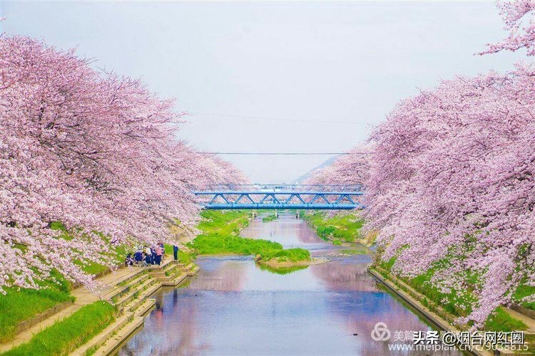 逦迤在乌山脚下，远远地见，邓拓故居院落边上，黛瓦白墙下