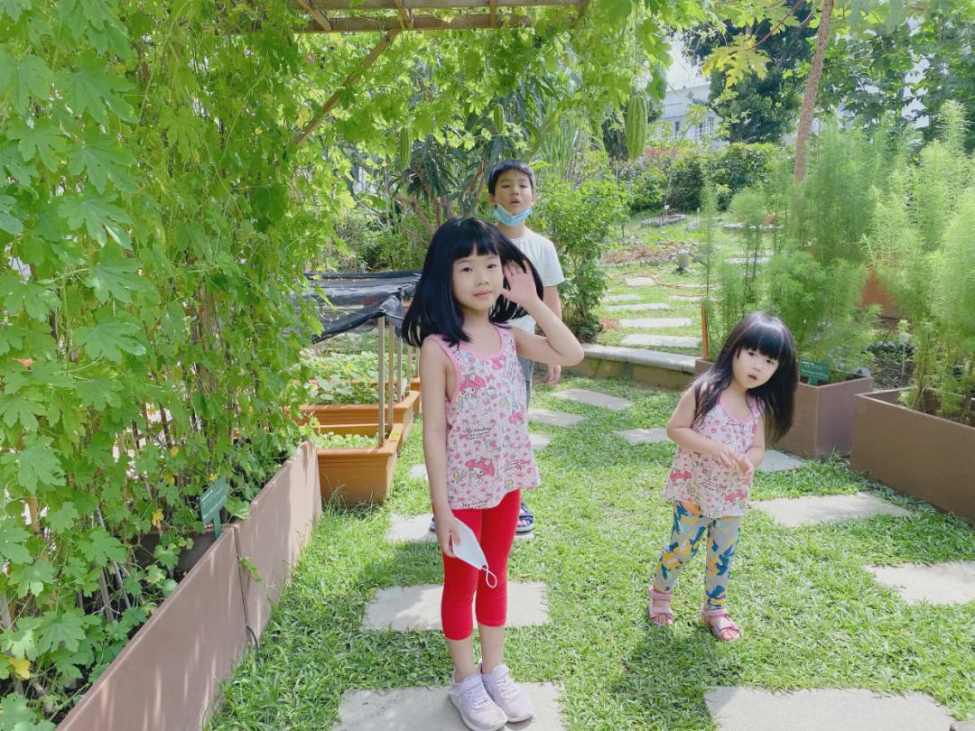 新加坡十大必住酒店,在新加坡住酒店多少钱