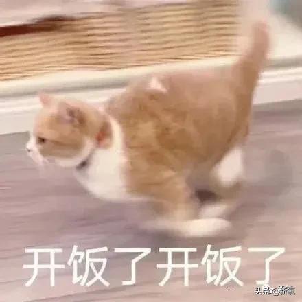 刘诗诗最近生图,刘诗诗旧照脸又胖又大
