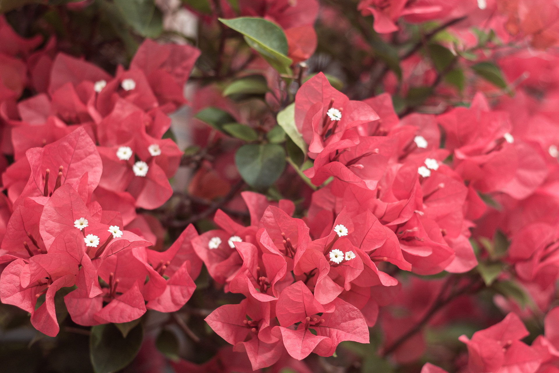 人在有钱时借钱给别人,不要轻易开口向别人借钱