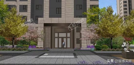 张店最新地块拍卖,淄博张店区中小学划片