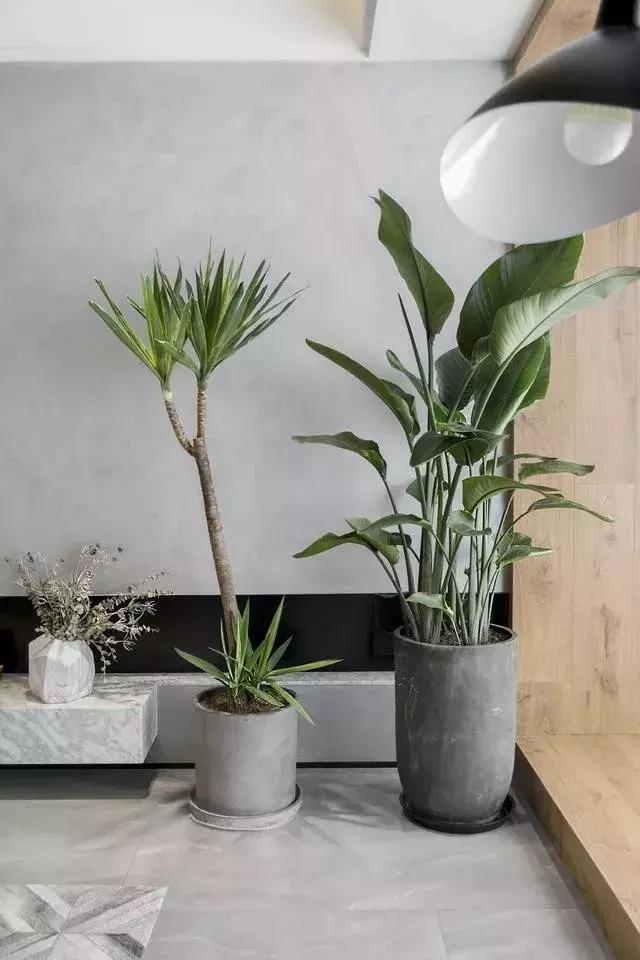 网红水泥墙图片,真实水泥墙