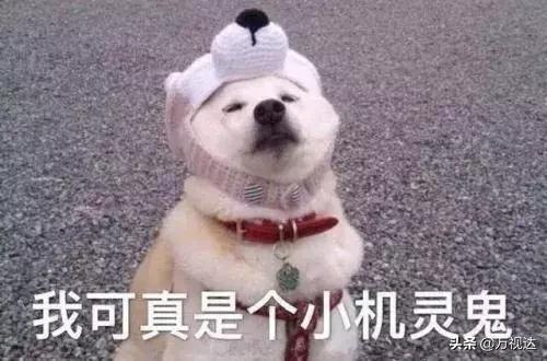 涨点知识天津,涨知识春节