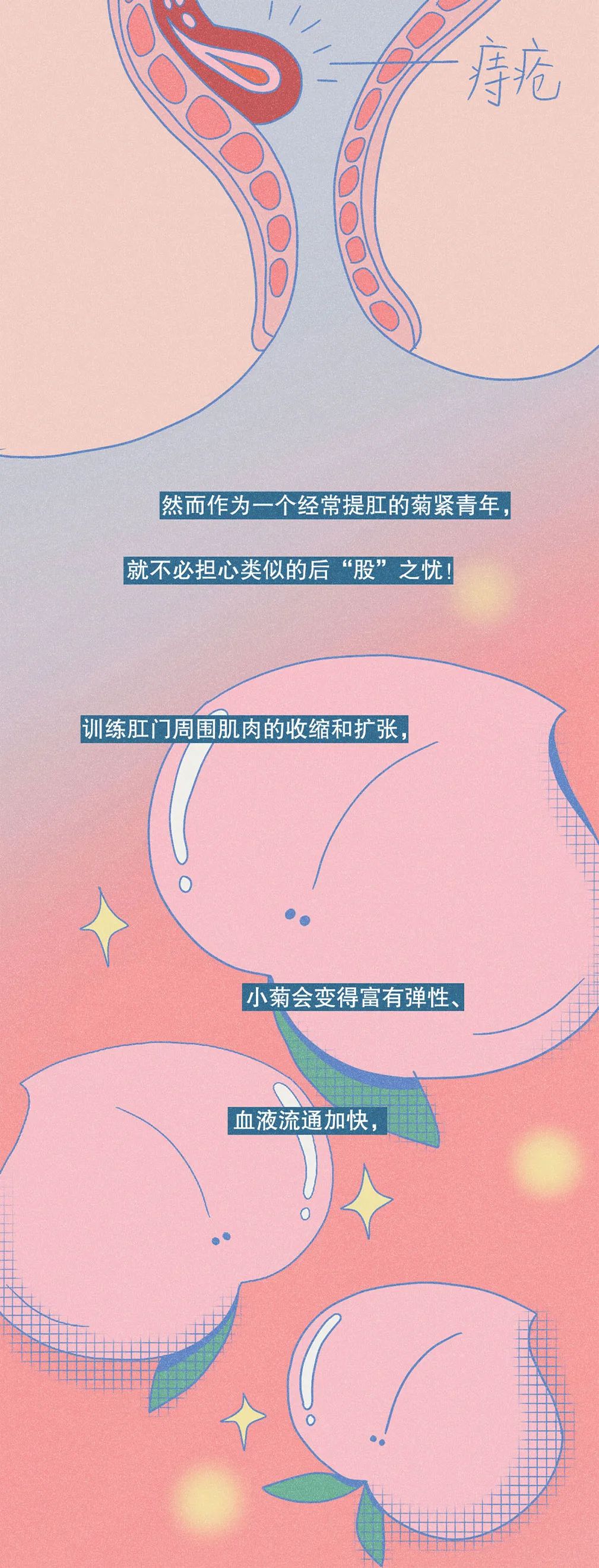 提肛运动的正确做法,提肛有什么好处