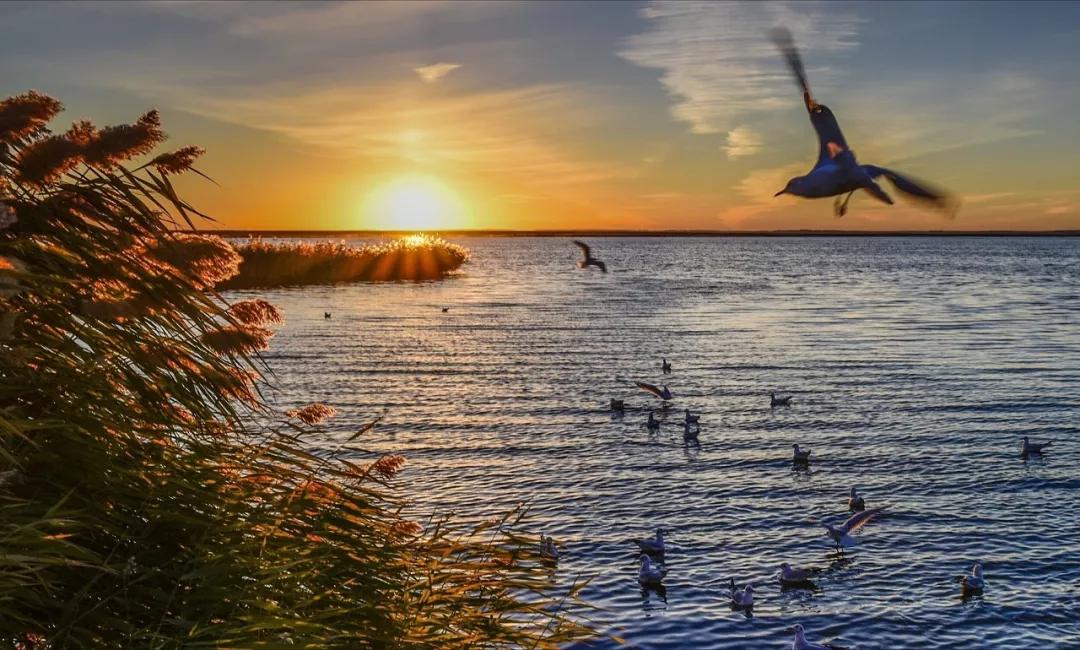 武汉周边自驾一日游小众免费,国内最值得自驾游旅行的地方