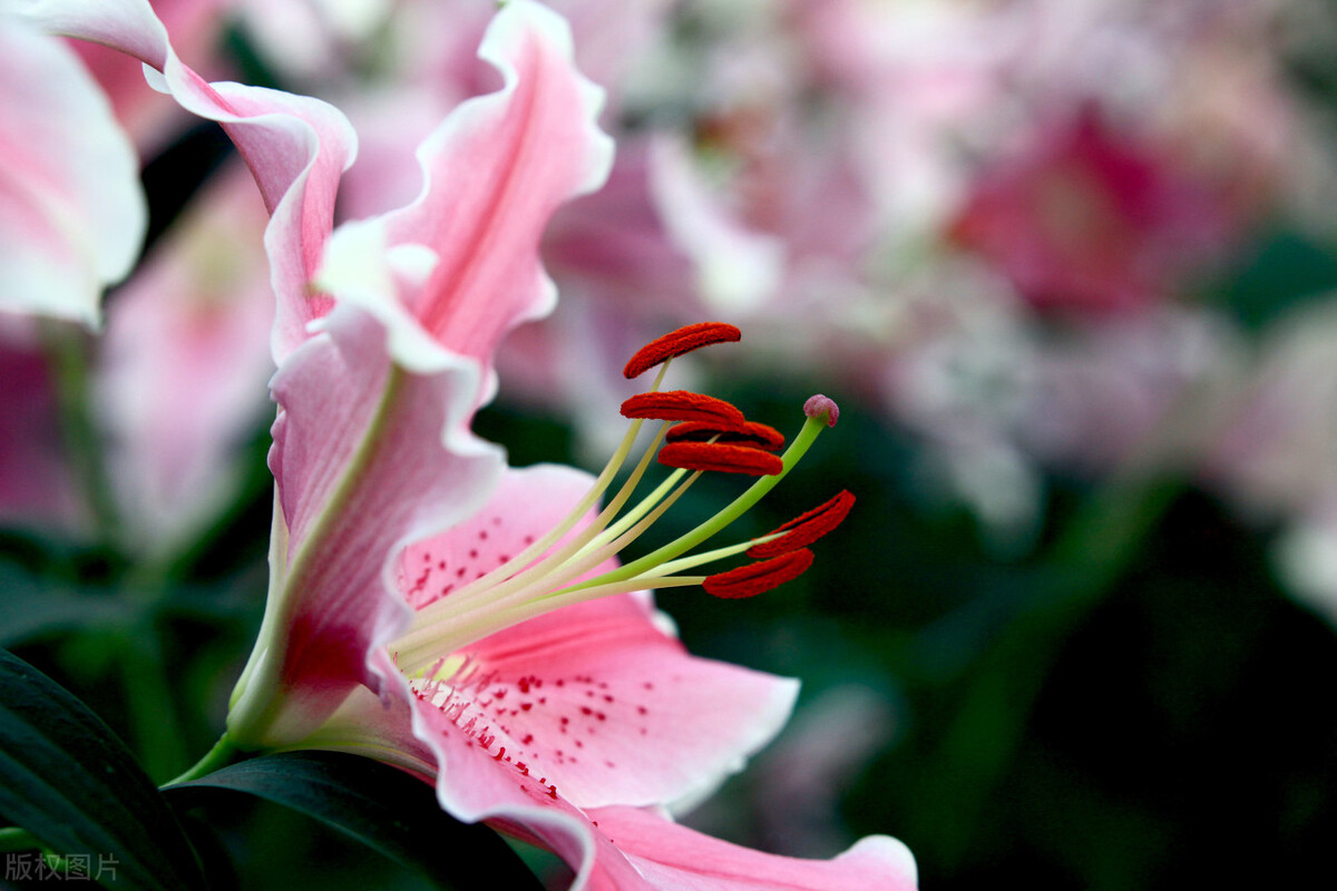 贵州三支一扶期满最新政策,江苏三支一扶期满后怎么办