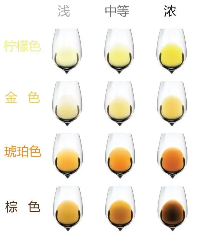 葡萄酒最常见的分类及英文词条,葡萄酒分类常见葡萄酒的品种大全