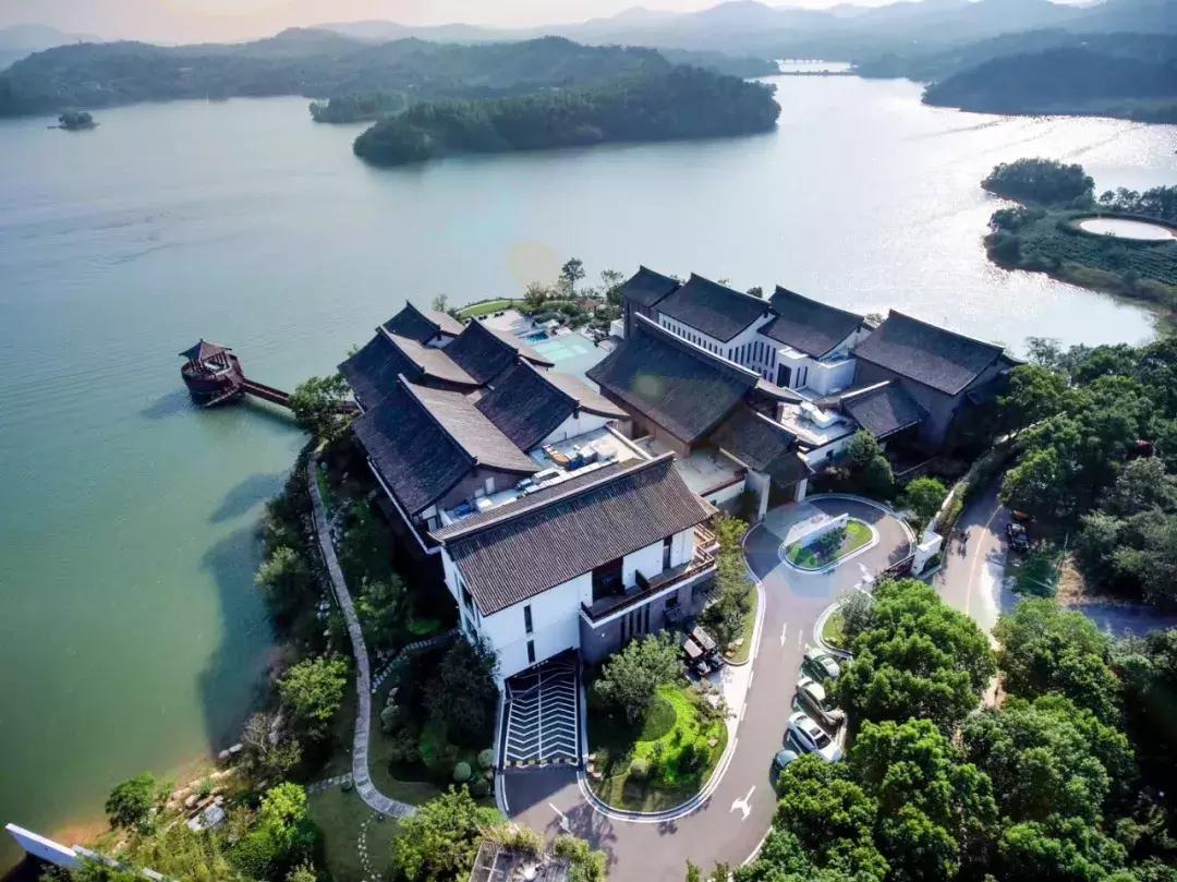 火遍江浙的东南亚餐厅,火遍江浙沪