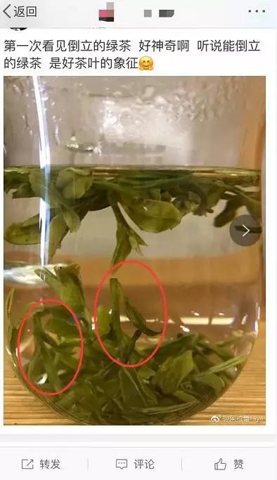 会倒立的才是好绿茶？我们给你做了这个实验