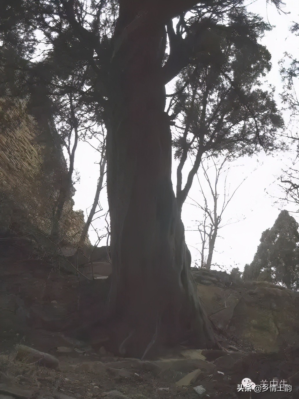 陕北吴堡牛家山,丹山牛家山