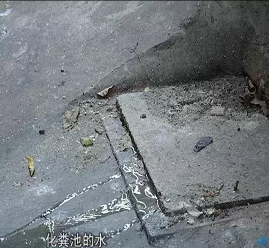 巷子屎水横流!不愿凑2万修理费,南海街坊宁可闻恶臭长达5年