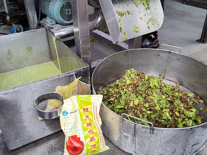 野生猕猴桃的酒叫什么酒,野生猕猴桃怎么做酒