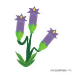 成人看图学英语之各种类型的花