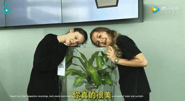 最有能量的语言是什么,为什么有能量的语言要经常说