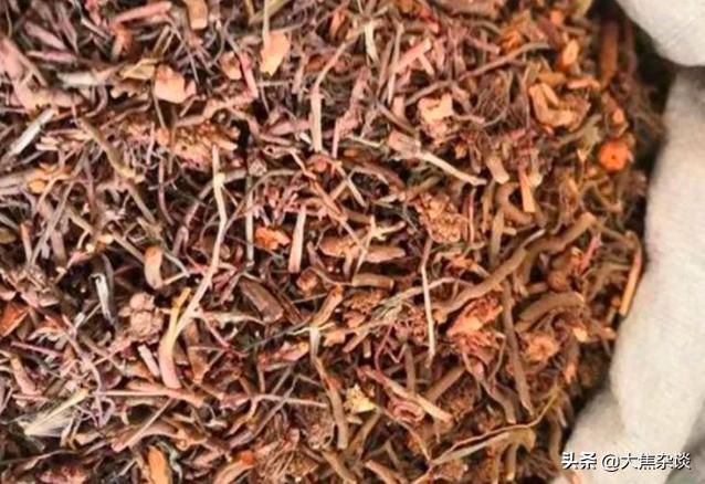 路边常见一种野草堪称止血良药,农村这种野草名字霸气功效多