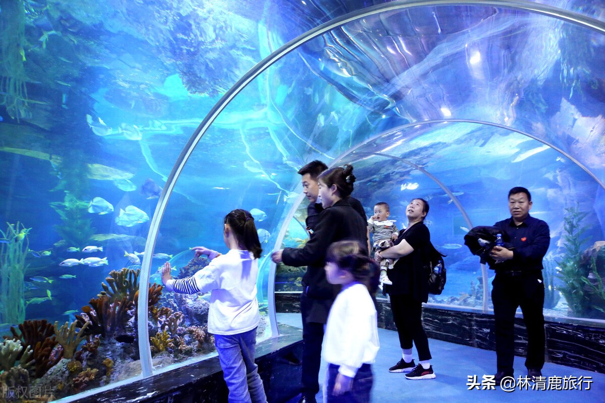 最低调的海滨城市排名,最安逸舒服的海边小县城