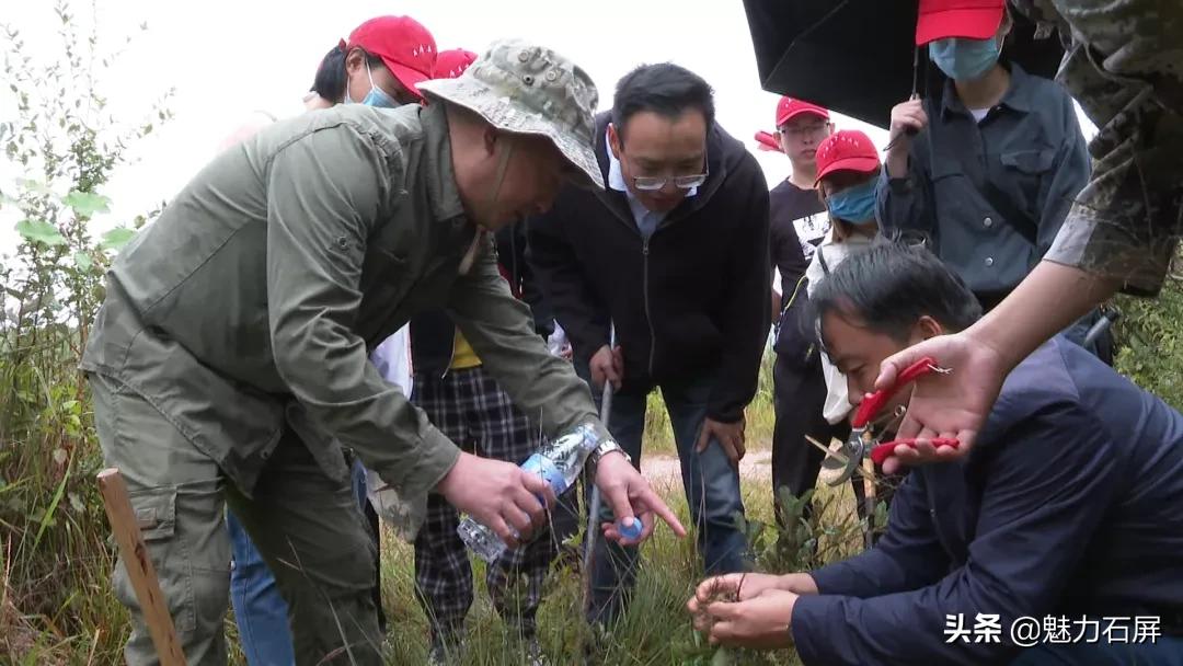 cop15浜戝崡鏄嗘槑,cop15鏂囧北