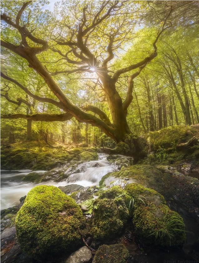 广角次品,广角失真是啥意思