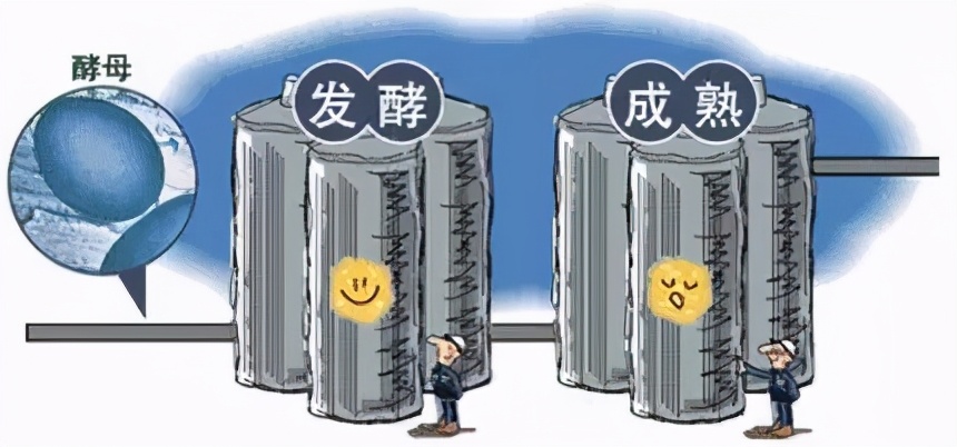 精酿啤酒酿造工艺流程视频教程,精酿啤酒生产的工艺流程