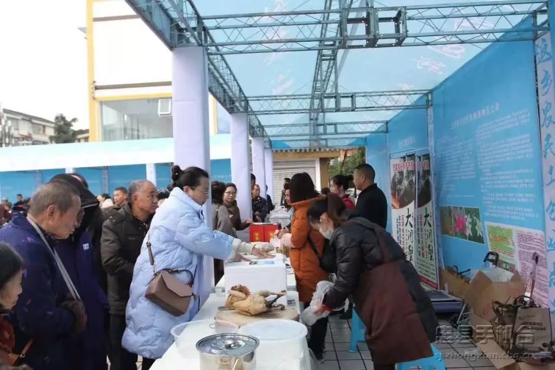 农民返乡创业应该做什么,忠县创业项目有哪些