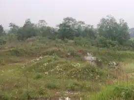 说说吉林省长春市的南湖公园……