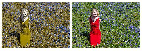 女儿送给色盲爸爸的礼物爸爸哭了,女儿送父亲色盲眼镜猛落泪