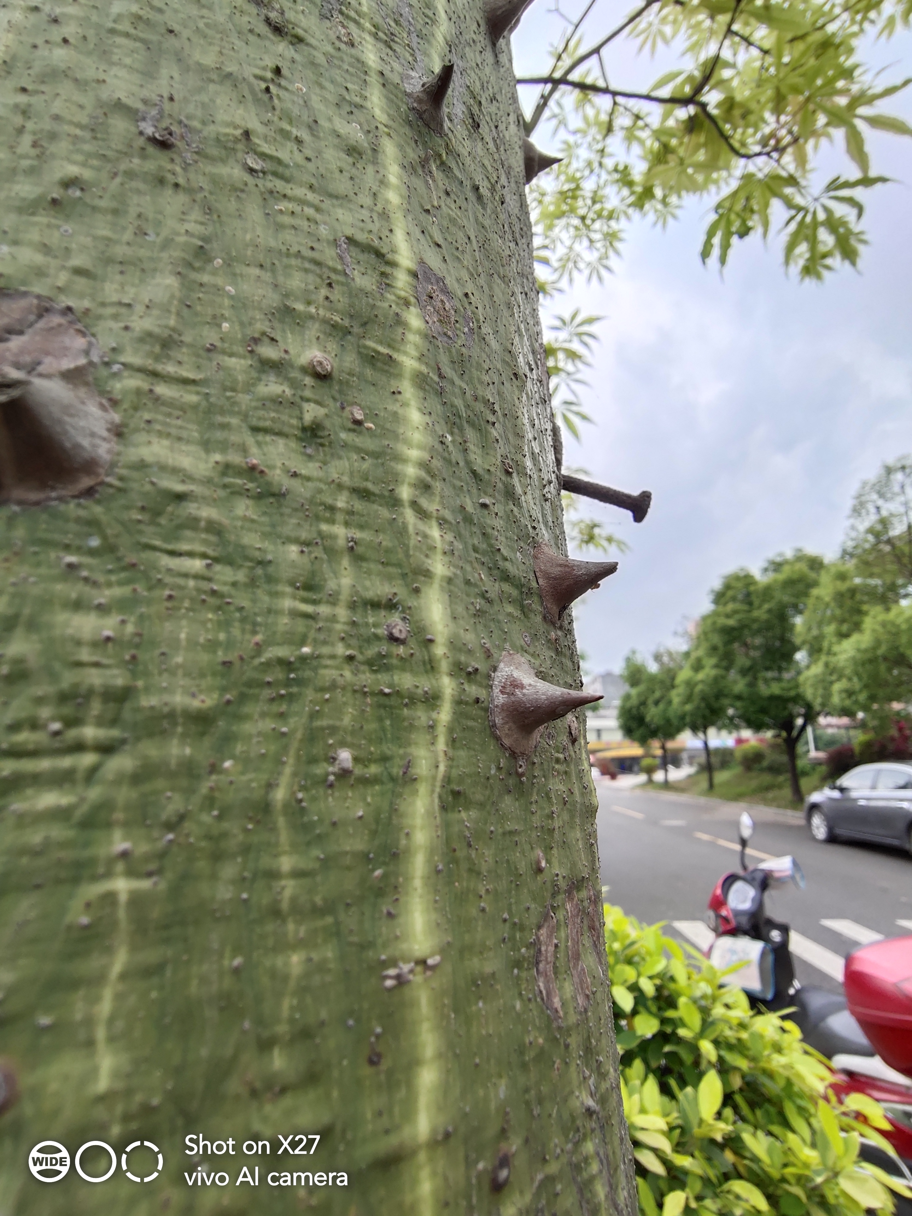 vivox27手机最大的亮点,vivox27全面屏体验怎样