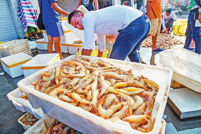 北海海鲜市场猫腻,北海海鲜交易