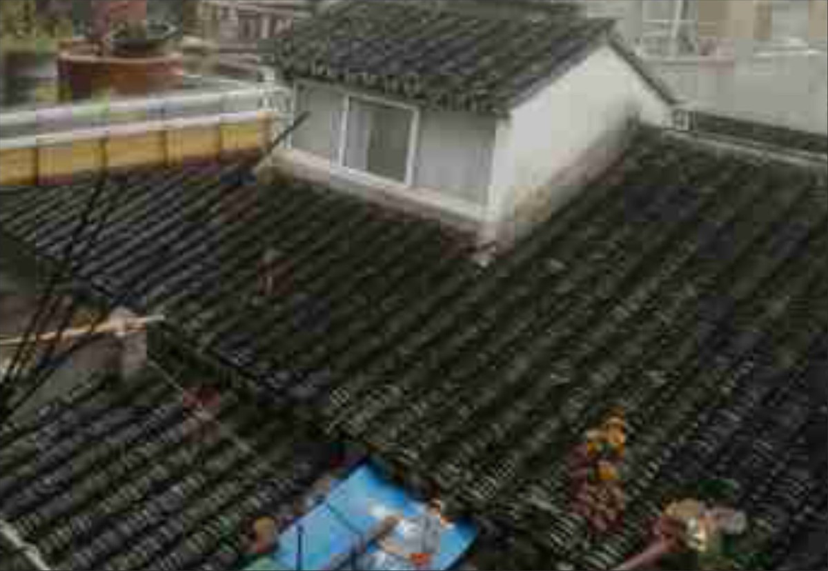 苏州必去的小岛,苏州古巷最好的古街