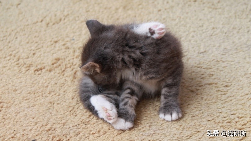 腹泻十几次最快的治疗方法,腹泻有五年应该怎样治疗