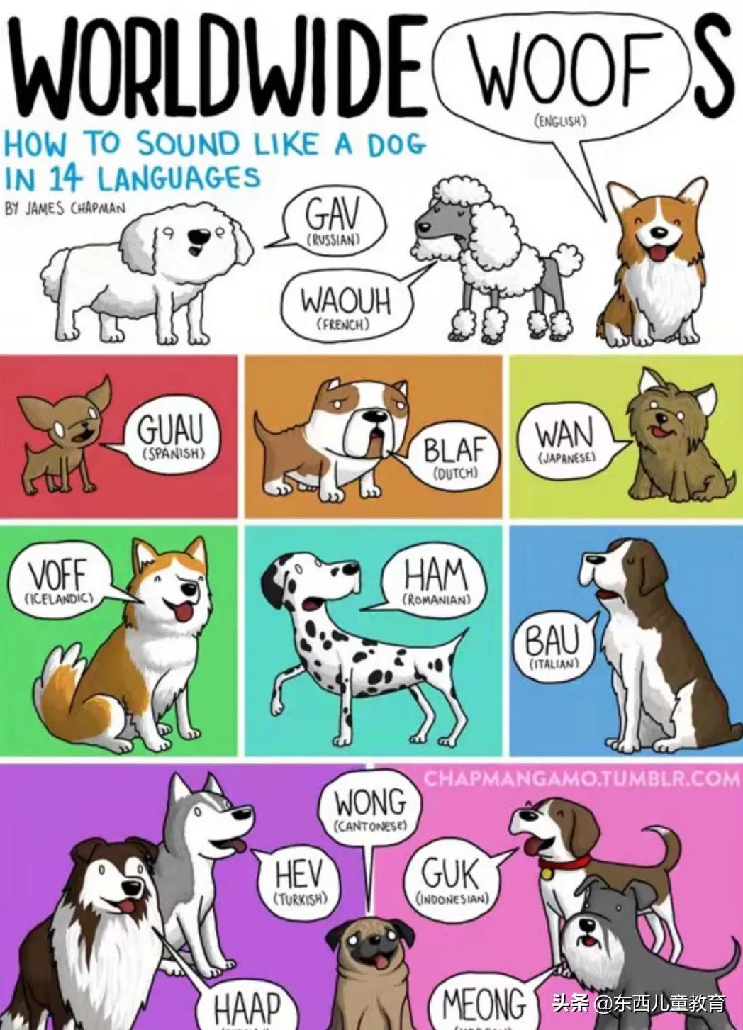 让孩子又兴奋又有效的英语学习方式，我一定要安利给你