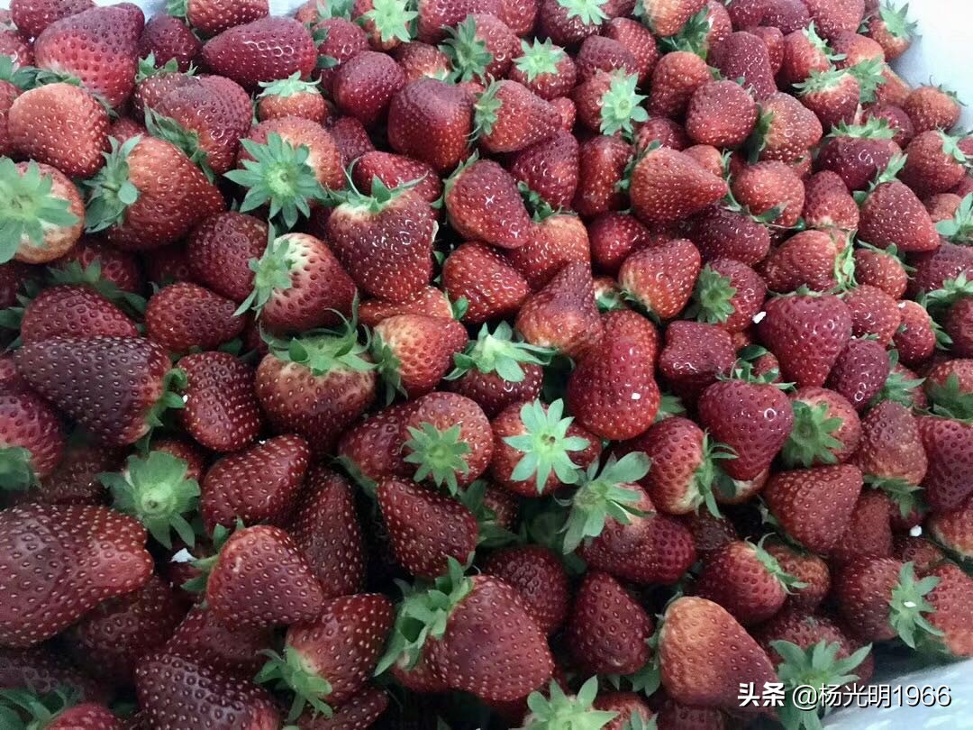 榛斾笢鍗楄嫍鏃忎緱鏃忚嚜娌诲窞鍑噷鑽夎帗 (鍑噷涓嬪徃鑽夎帗澶栭攢鎯呭喌)