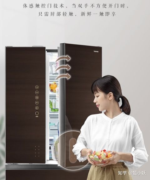 卡萨帝日立东芝博世哪个好,东芝西门子卡萨帝冰箱选哪款