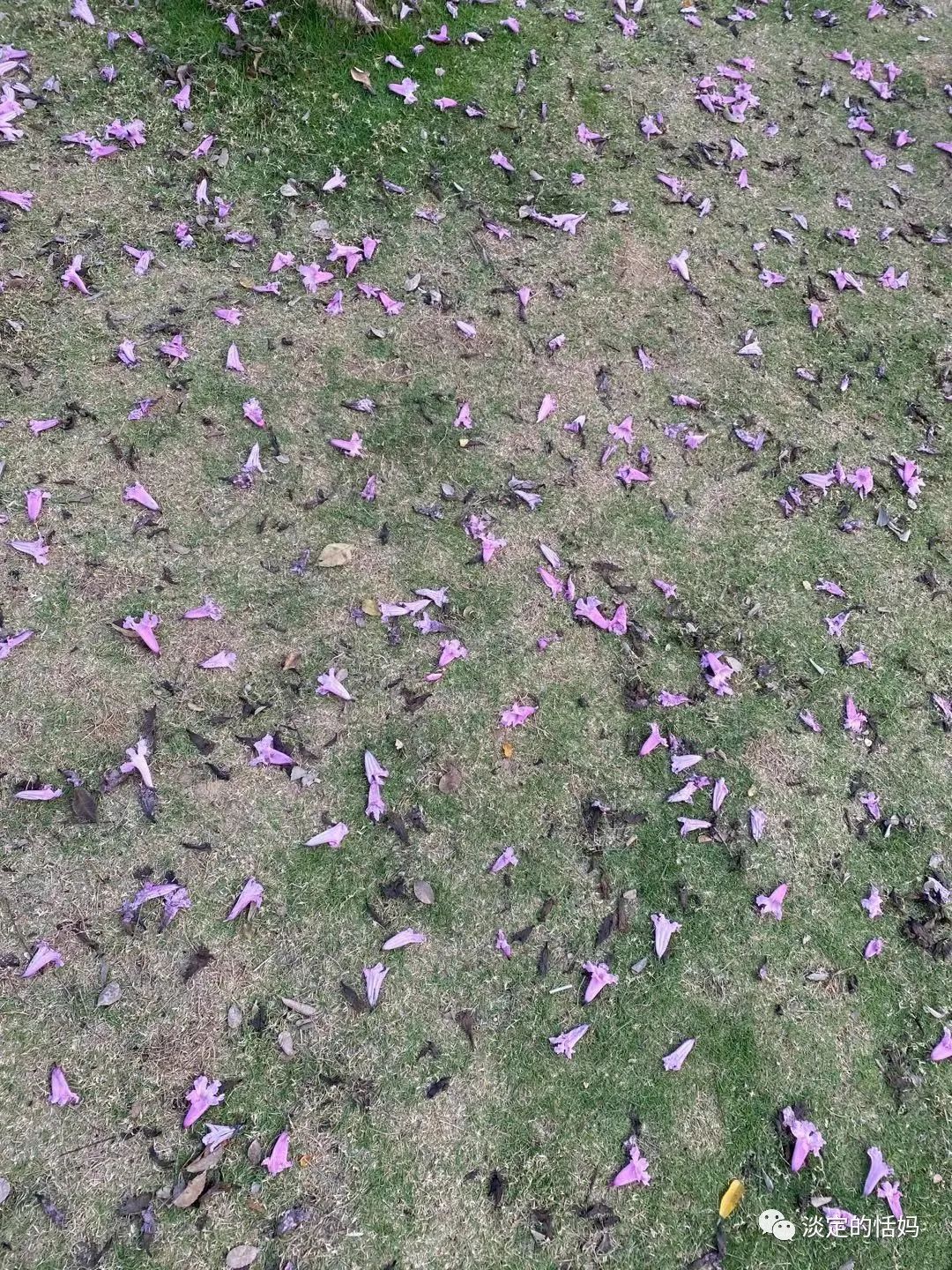 一边修脚一边讲故事,开口学古诗