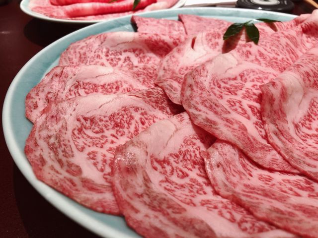 日本东京旅行攻略自由行,日本游记自由行攻略