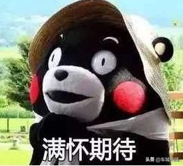 十堰市坐公交车最新要求,今天十堰公交202出行情况