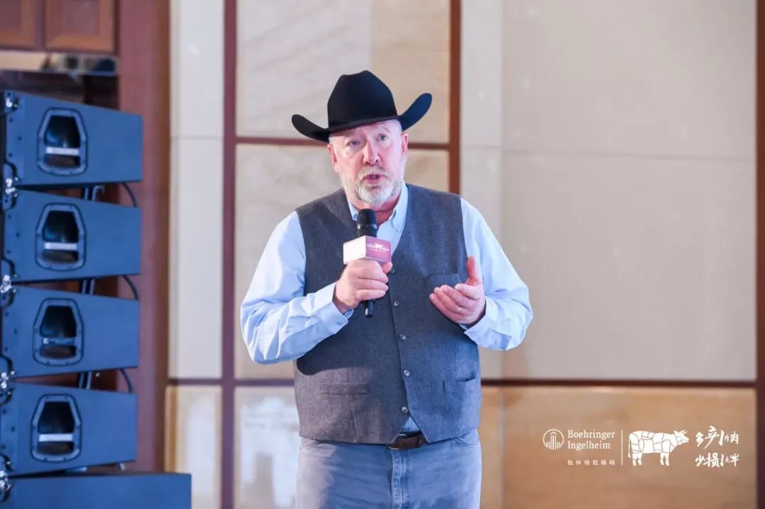 这一次，风口上站的是肉牛