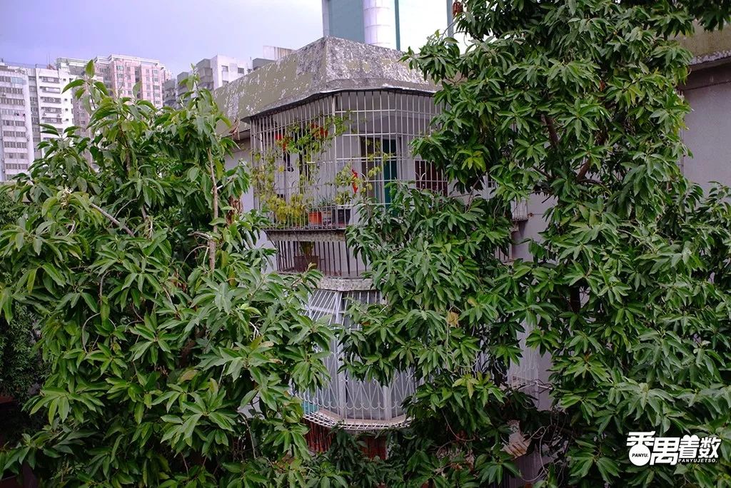 在广州番禺哪里住得舒服,在番禺住哪里比较好