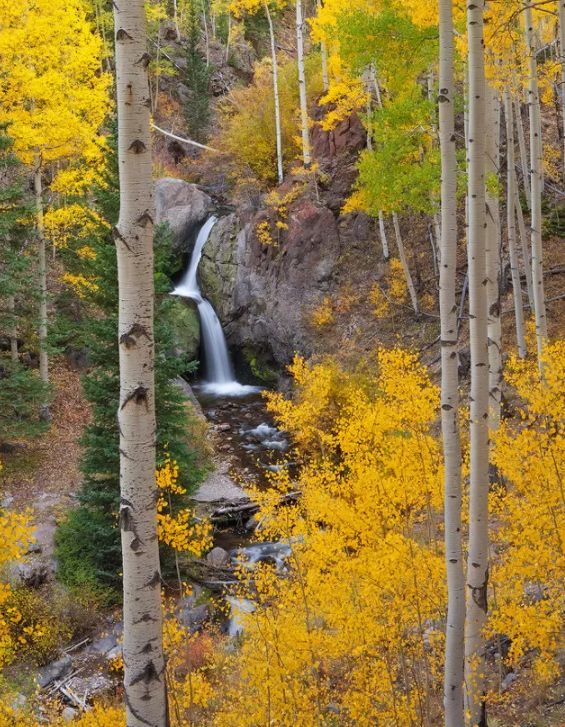 「诗词鉴赏」元曲中的秋天，另一番美丽