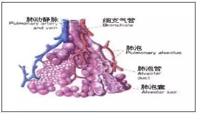 张宏玉教授呼吁:除非有紧急医学情况,否则不要提前选择剖宫产!