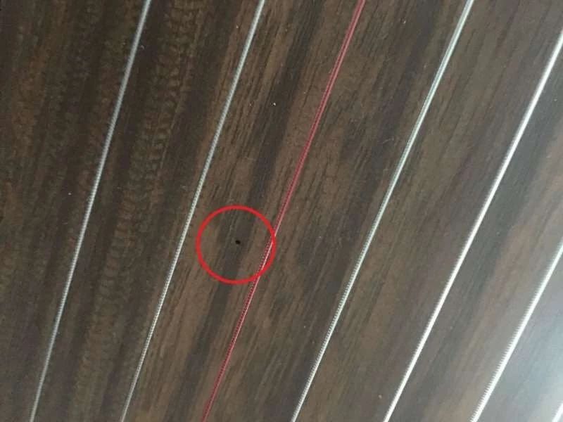 *伤杀**力大潜伏期长!你的古筝也需要“防疫”