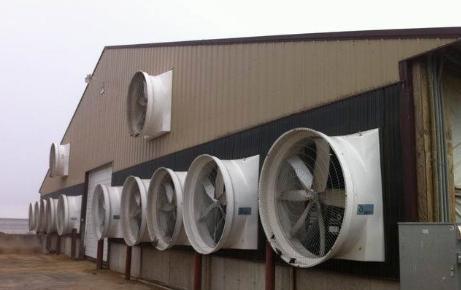 猪舍猪臭味怎么去除,猪舍臭味是什么